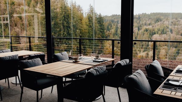 The Restaurant & Terrace Bar at Salish Lodge by null