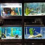Photo of Petzoo
