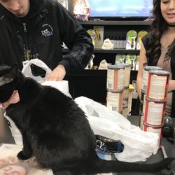 Pet Valu - Store cat jumped up on the counter to check the cans of the good stuff. Someone dropped off a rabbit in a cage when I was here. Pretty sad.