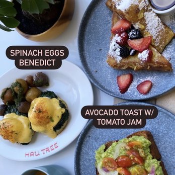 Hau Tree - Our brunch options - Seafood Near Me - Honolulu, Hawaii Hau Tree - Our brunch options - Seafood Near Me - Honolulu, Hawaii