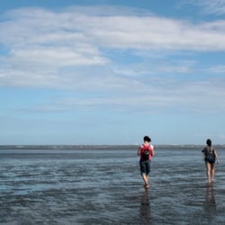 Suttons Beach