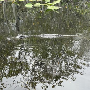 Everglades Airboat Expeditions - Boat Tours Near Me Everglades Airboat Expeditions - Boat Tours Near Me