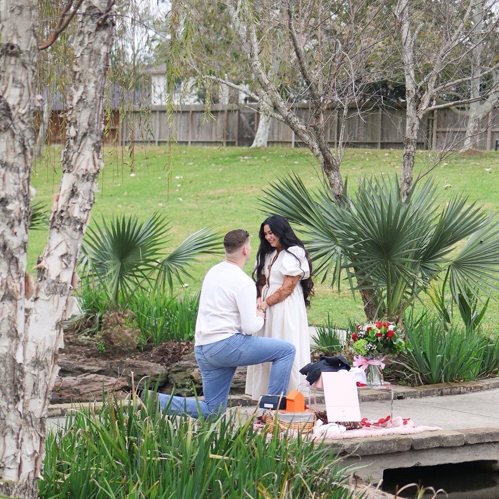 Mandolin Gardens Park - The proposal. - Parks Near Me - Houston, Texas