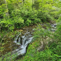 Fallsville Wildlife Area