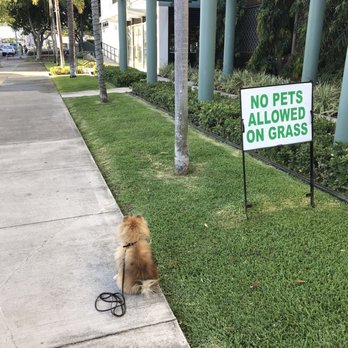 Kaka'ako Mart - No Pets - Convenience Stores Near Me - Honolulu, Hawaii