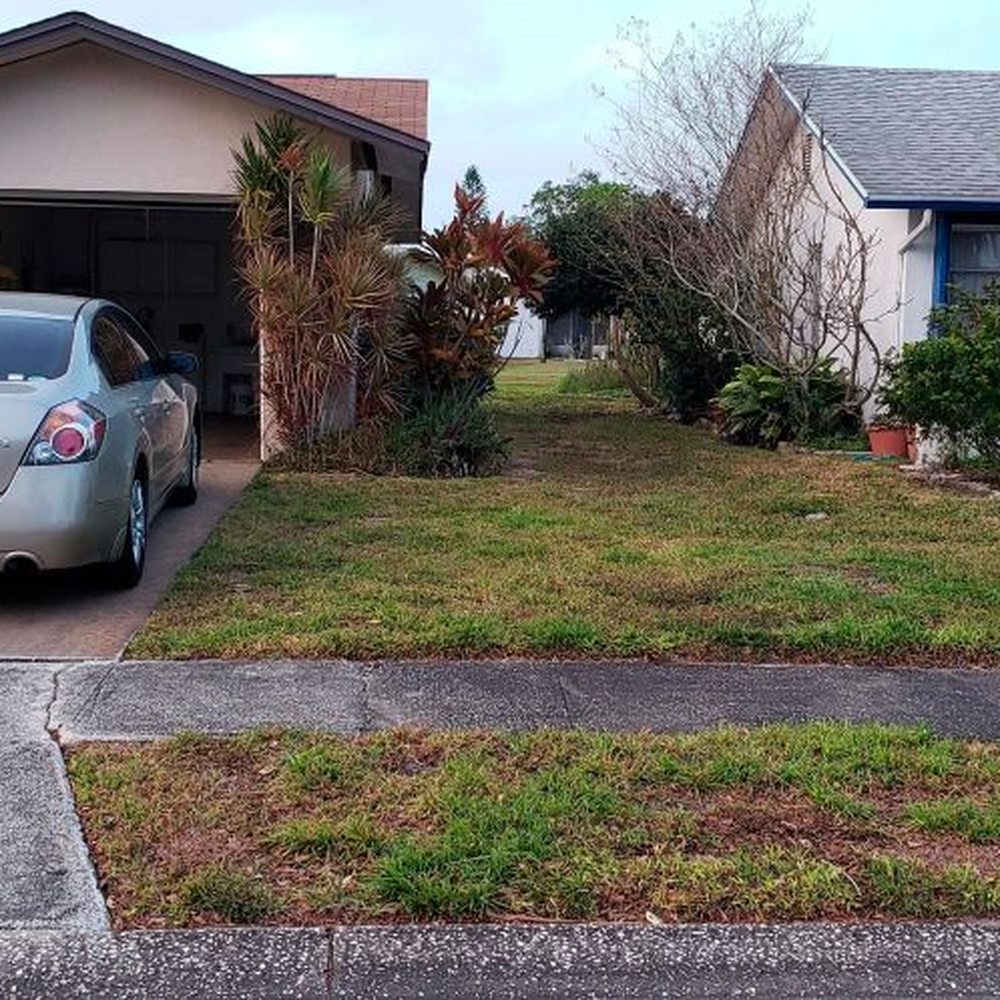 Low Cost Concrete - Masonry/Concrete Near Me - New Port Richey, Florida Low Cost Concrete - Masonry/Concrete Near Me - New Port Richey, Florida