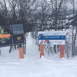 Skarsnuten