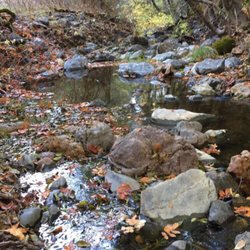 Austin Creek State Recreation Area - Beautiful in the Fall!