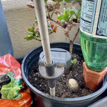 Koolau Farmers - My new pot and left over potting mix (orange bag).  Now this plant got her own pot and another stronger plant got her own pot as well. - Nurseries & Gardening Near Me - Honolulu, Hawaii