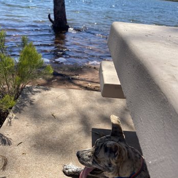 Lake Murray - Getting into a bit of shade - Parks Near Me - La Mesa, California Lake Murray - Getting into a bit of shade - Parks Near Me - La Mesa, California