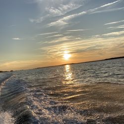 Dolphin Discoveries - Beautiful sunset