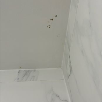 Quality Inn - Black mold - Hotels Near Me - Rome, Georgia Quality Inn - Black mold - Hotels Near Me - Rome, Georgia