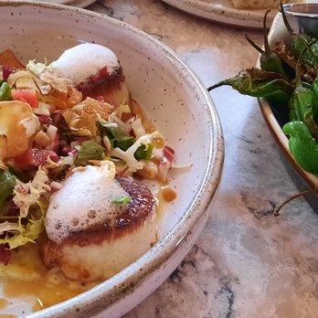 Juniper - Sea scallop special with blistered shishito peppers - Cocktail Bars Near Me - Johnson City, Tennessee