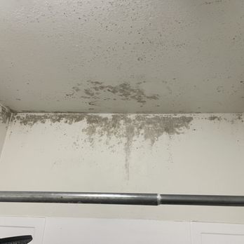 Shine Home Environmental - Mold testing, Riverside, Los Angeles, asbestos, lead , inspection, Chino, Walnut, El monte, Claremont, La Puente, clearance - Environmental Testing Near Me Shine Home Environmental - Mold testing, Riverside, Los Angeles, asbestos, lead , inspection, Chino, Walnut, El monte, Claremont, La Puente, clearance - Environmental Testing Near Me