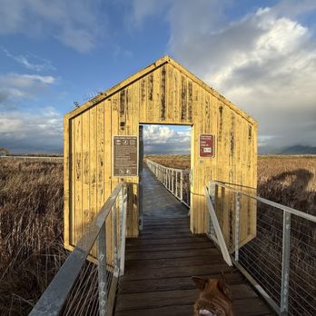 Alviso Marina County Park - Parks Near Me - Alviso, California