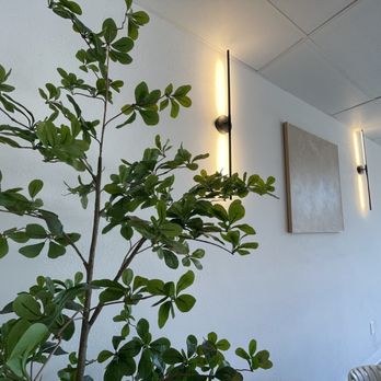 Elite Experience: BoBaPoP Tea Bar - Decor - Yelp Events Near Me - San Marcos, California