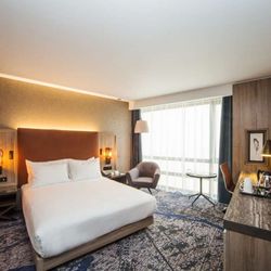 DoubleTree by Hilton Hotel London Kingston Upon Thames - Guest room
