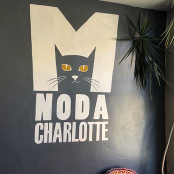 Mac Tabby Cat Cafe - Cat time - Themed Cafes Near Me - Charlotte, North Carolina