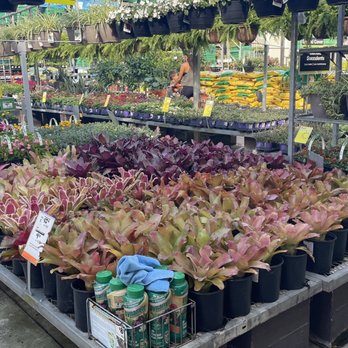 The Home Depot - Nurseries & Gardening Near Me - Hollywood, Florida The Home Depot - Nurseries & Gardening Near Me - Hollywood, Florida