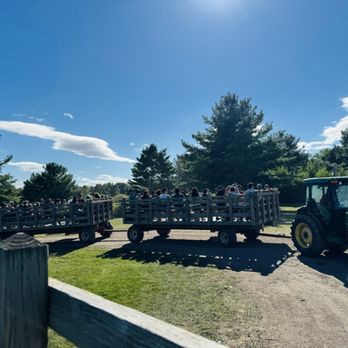 All Seasons Orchard - Pumpkin Patches Near Me - Woodstock, Illinois All Seasons Orchard - Pumpkin Patches Near Me - Woodstock, Illinois