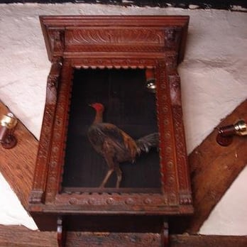 Ye Old Fighting Cocks - Inside, Taxidermed Fighting Cock - Pubs Near Me - St Albans, HRT Ye Old Fighting Cocks - Inside, Taxidermed Fighting Cock - Pubs Near Me - St Albans, HRT