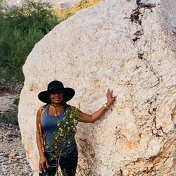 Wild Bunch Desert Guides