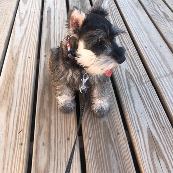 Sportsmans - Pet Training Near Me - Manorville, New York