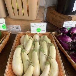 Paisley Farm and Greenhouse - Heirloom eggplant