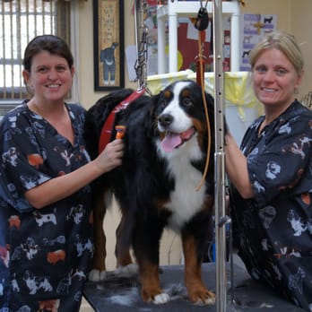 Creekside Grooming - Pet Groomers Near Me - Winchester, Virginia