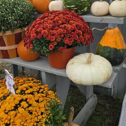 Krupski Farms - Farmstand