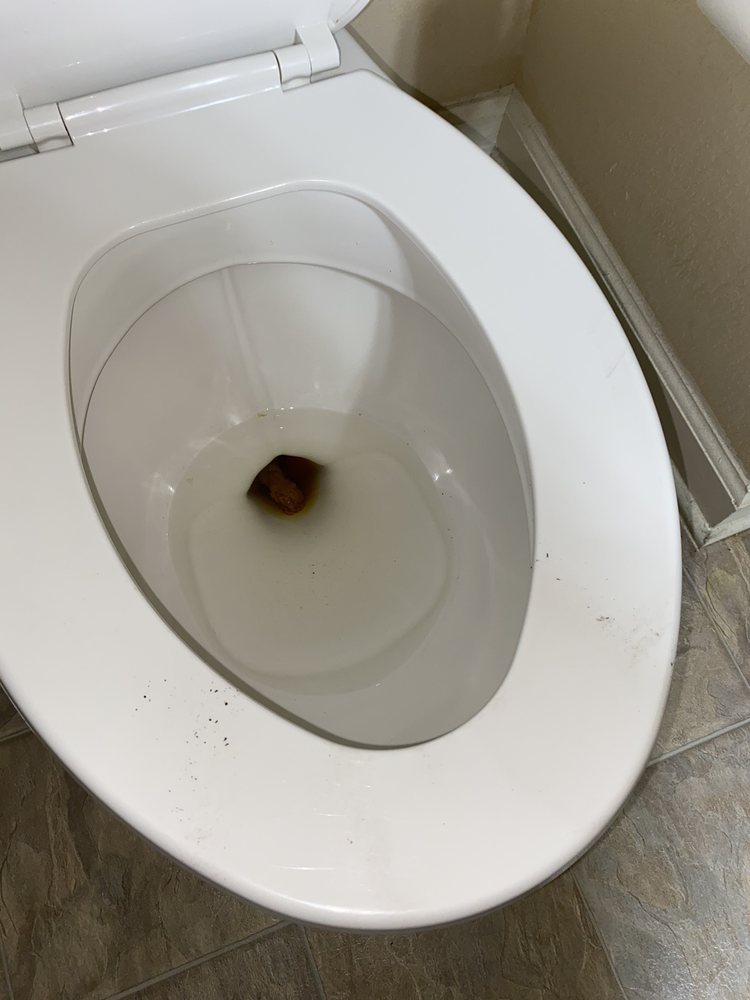 ULTRIS PATRIOT PARK Updated August 2024 20 Photos & 12 Reviews