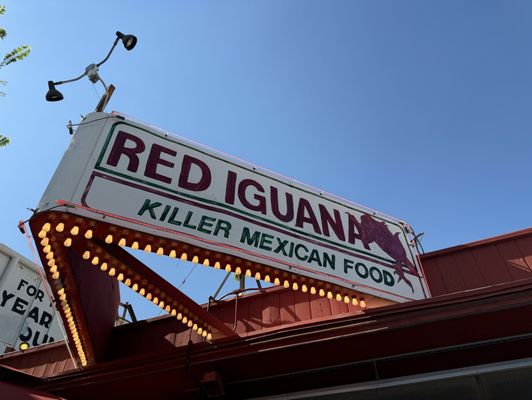Red Iguana by null