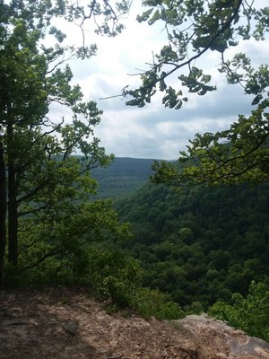Hawksbill Crag/Whitaker Point by null