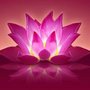 Photo of Wild Lotus