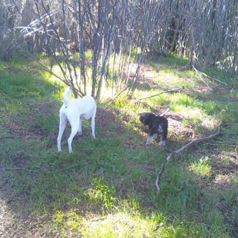 Waggin' Away - Must sniff! - Dog Walkers Near Me Waggin' Away - Must sniff! - Dog Walkers Near Me