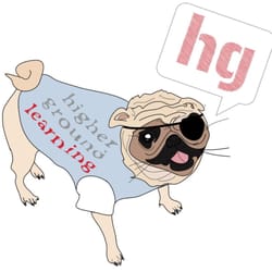 Higher Ground Learning - Our mascot, Pirate the Pug.