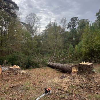 Down East Timber Solutions - Massive tree removal - Tree Services Near Me Down East Timber Solutions - Massive tree removal - Tree Services Near Me