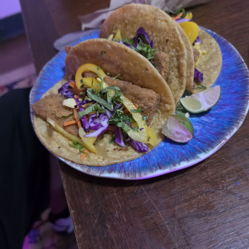 Hash Vegan Eatery - Phish tacos - Vegan Near Me - San Antonio, Texas
