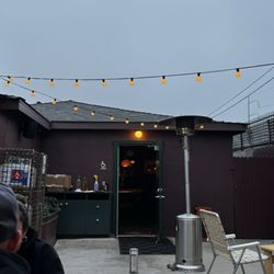 Tipsy Falcon