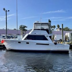 Paladin Fishing Charters - Book now! Paladin Fishing Charters! Call now.