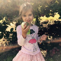 Sugars End Dental - Ryn apple picking @ BJ Reece's