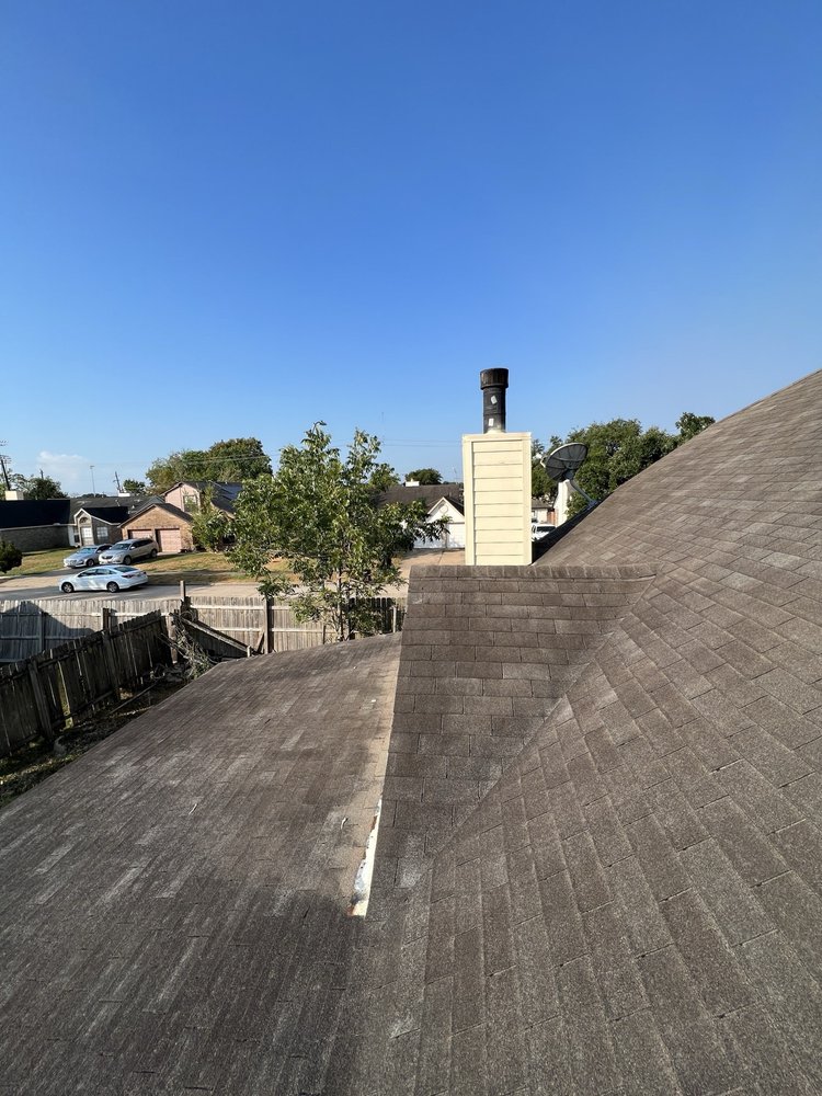 Slide of Paws and Build Construction