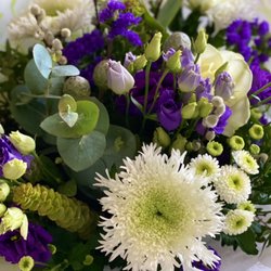 Johnson's the Florist
