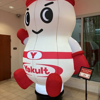 Yakult - Yakult Man (Nov 2025) - Beverage Store Near Me - Fountain Valley, California Yakult - Yakult Man (Nov 2025) - Beverage Store Near Me - Fountain Valley, California