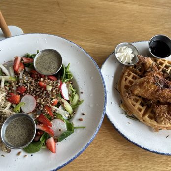 Water Oak Cafe & Bakery - Chicken and waffles and harvest salad - Breakfast & Brunch Near Me - Webster, Texas Water Oak Cafe & Bakery - Chicken and waffles and harvest salad - Breakfast & Brunch Near Me - Webster, Texas