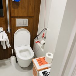 The Lister Hospital - The overnight treatment room. Bathroom.
