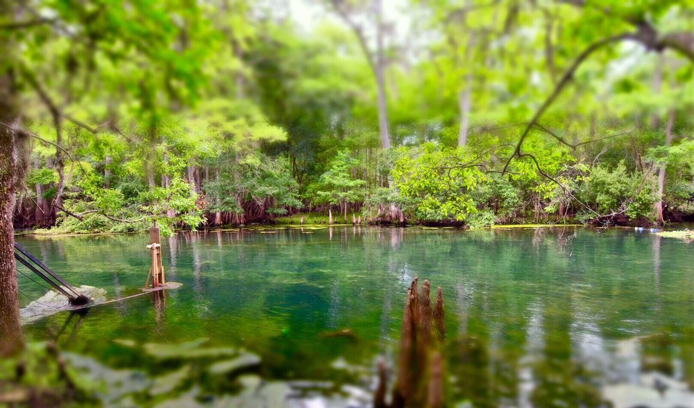 MANATEE SPRINGS STATE PARK - 123 Photos & 55 Reviews - Parks - 11650 NW