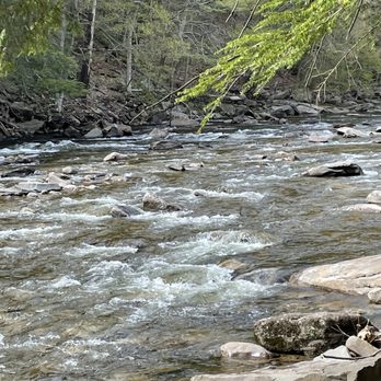 Worlds End State Park - Parks Near Me - Forksville, Pennsylvania