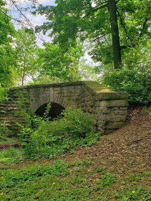 Delaware Park by null