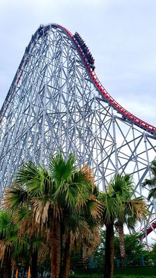 Steel Dragon 2000 by null